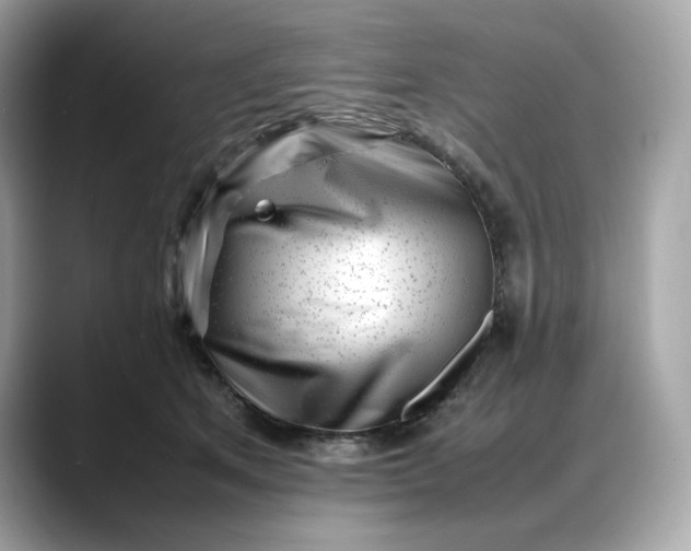 X0000088360513200706051025