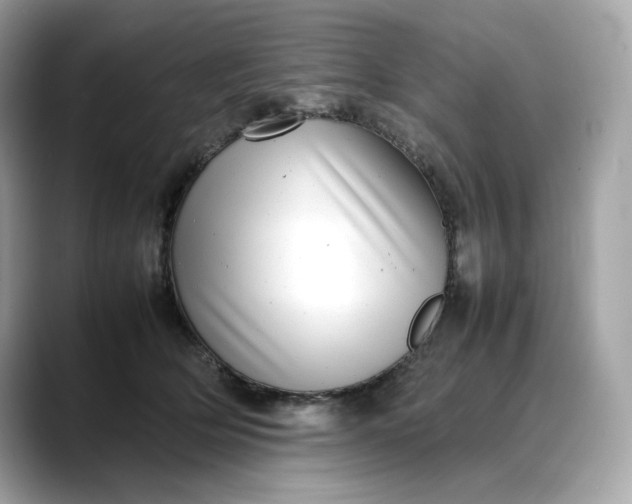 X0000088360514200706051025