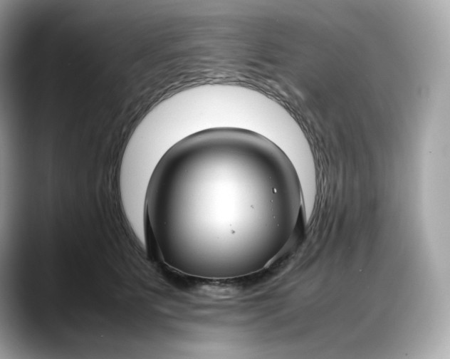 X0000088360515200706051025