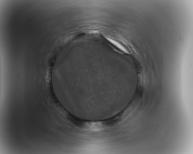 X0000088360517200706051025