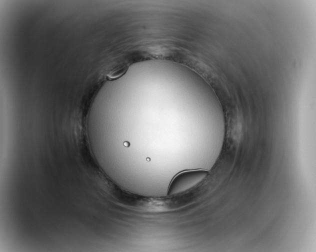 X0000088360518200706051025