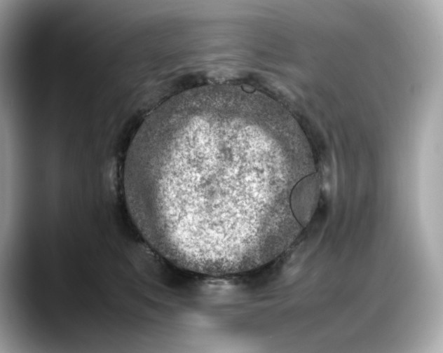 X0000088360519200706051025