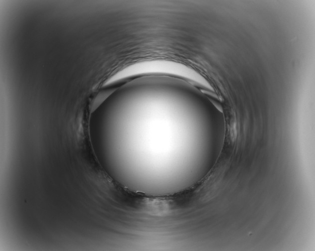 X0000088360520200706051025