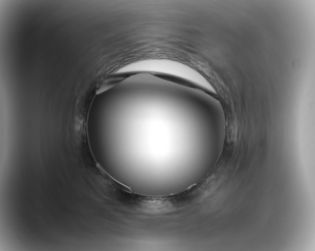 X0000088360521200706051025