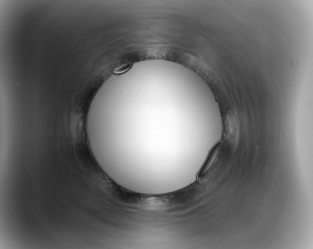 X0000088360522200706051025