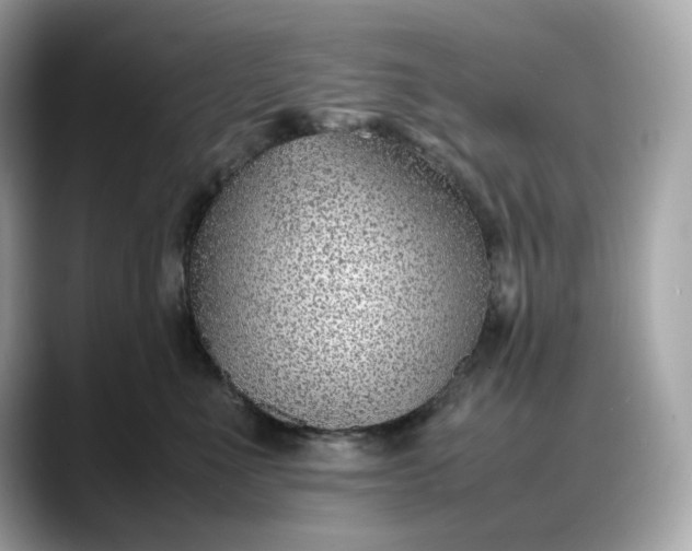 X0000088360523200706051025