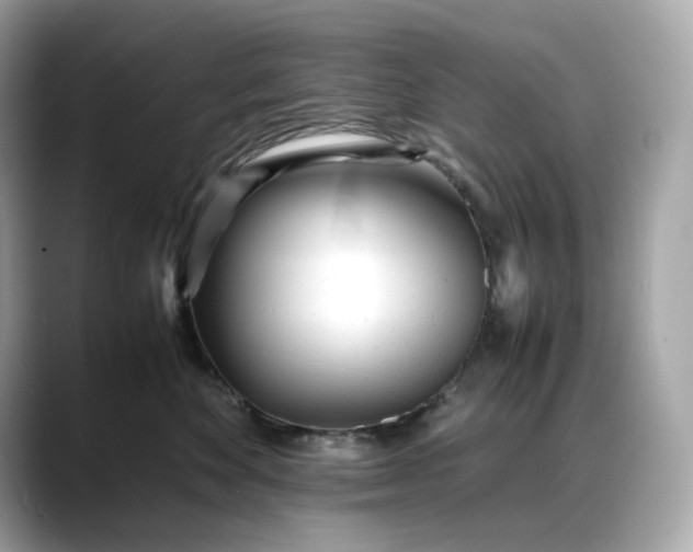 X0000088360524200706051025