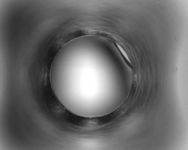 X0000088360525200706051025