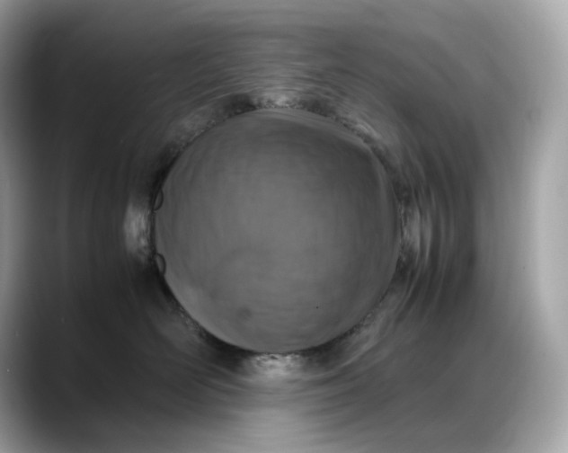 X0000088360526200706051025