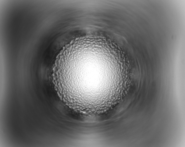 X0000088360527200706051025