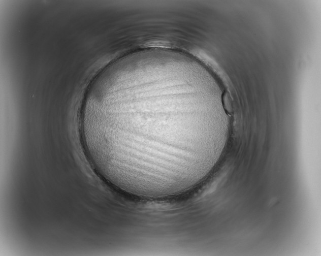 X0000088360529200706051025