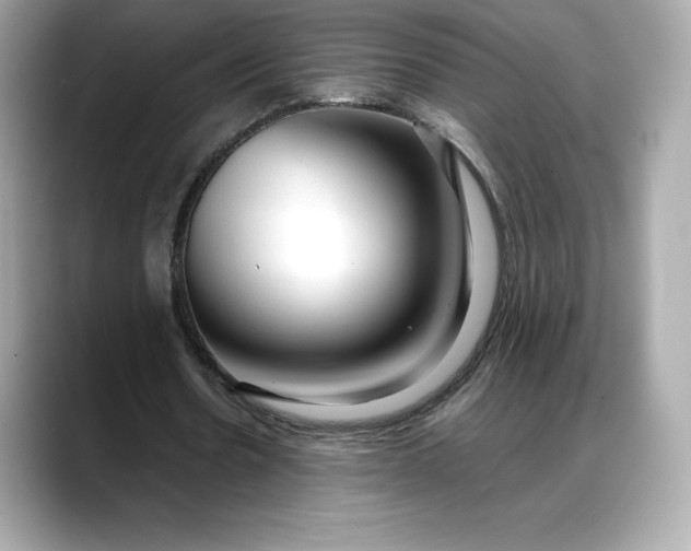 X0000088360530200706051025