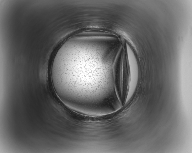 X0000088360531200706051025