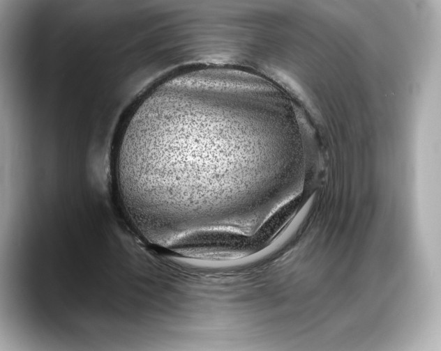 X0000088360532200706051025