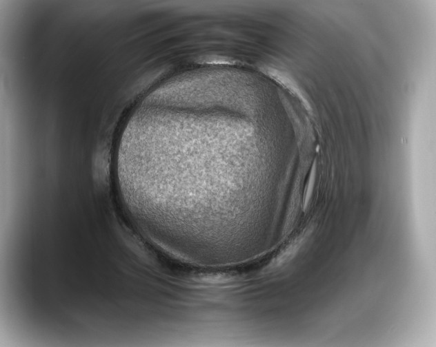 X0000088360533200706051025