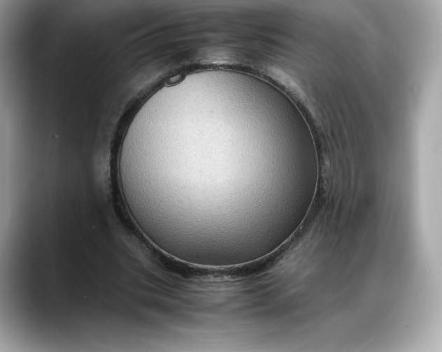 X0000088360535200706051025