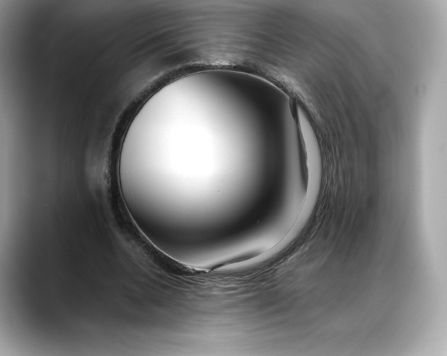 X0000088360536200706051025