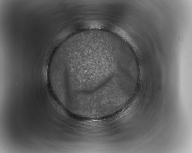 X0000088360537200706051025