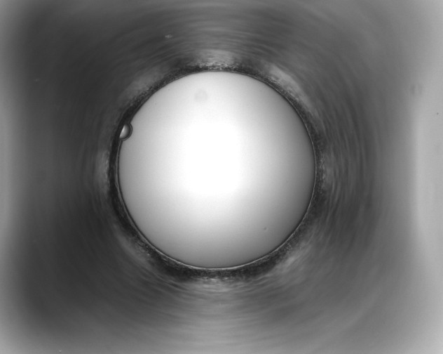 X0000088360538200706051025