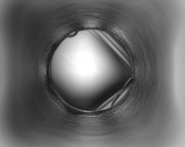 X0000088360539200706051025