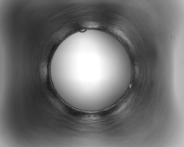 X0000088360541200706051025