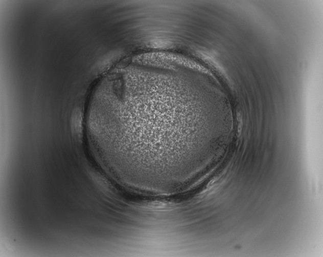 X0000088360542200706051025