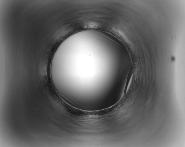 X0000088360543200706051025