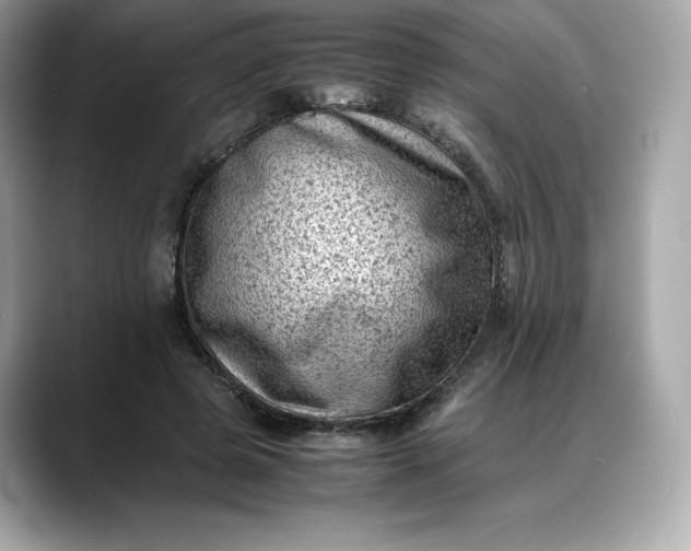 X0000088360545200706051025