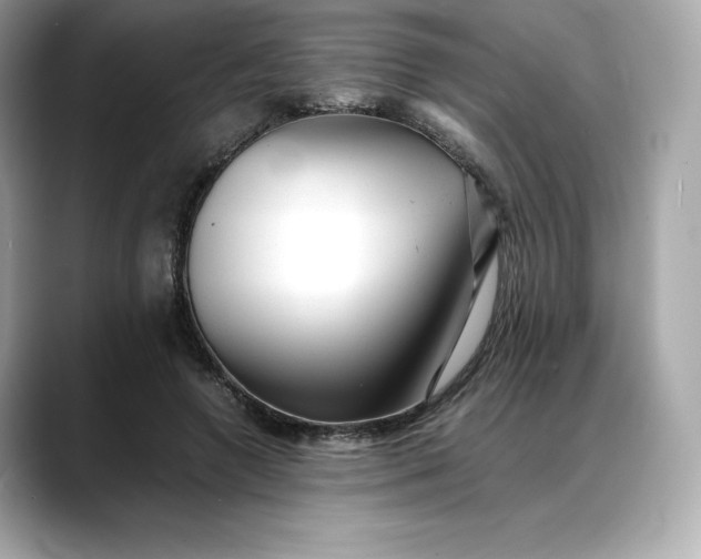 X0000088360546200706051025