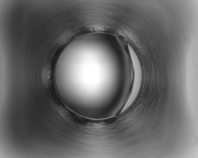 X0000088360548200706051025