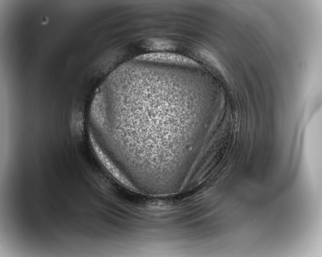 X0000088360549200706051025