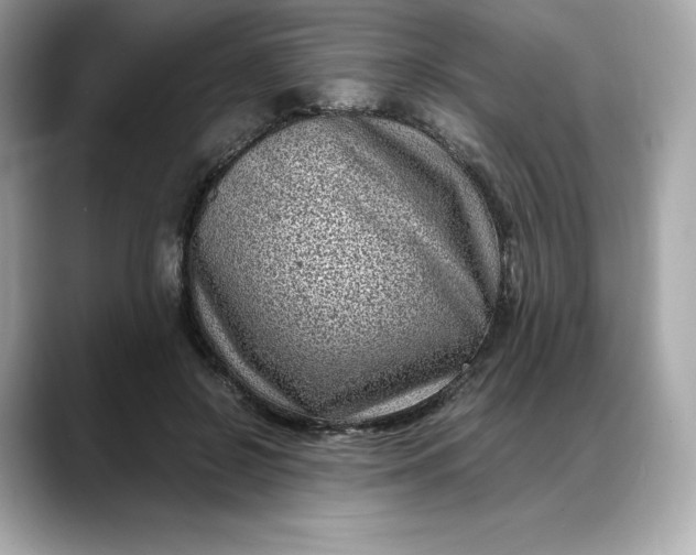 X0000088360550200706051025