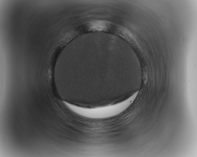 X0000088360551200706051025