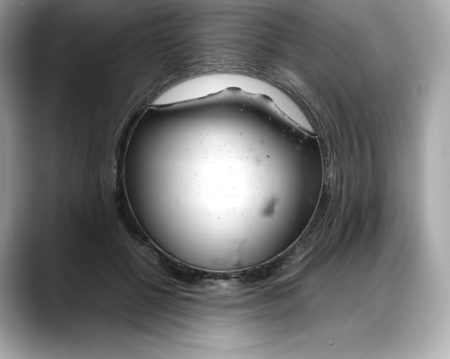 X0000088360552200706051025