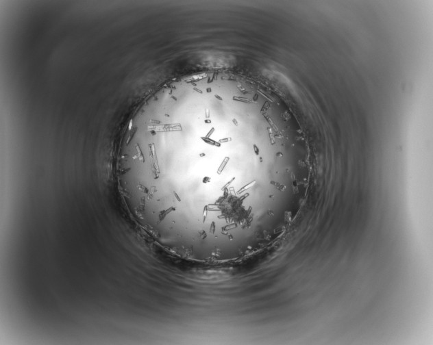 X0000088360553200706051025