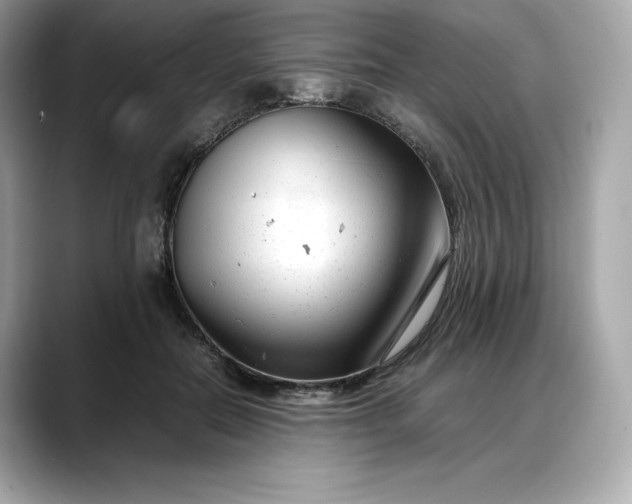 X0000088360554200706051025