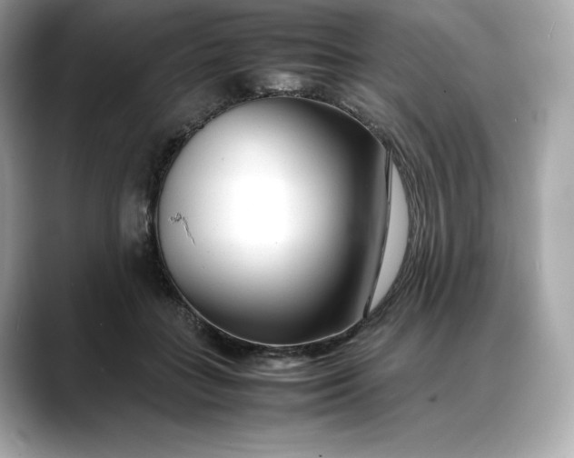 X0000088360555200706051025