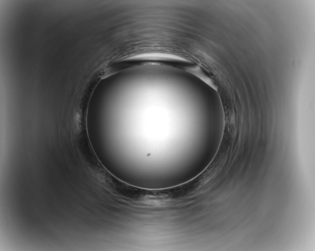 X0000088360556200706051025