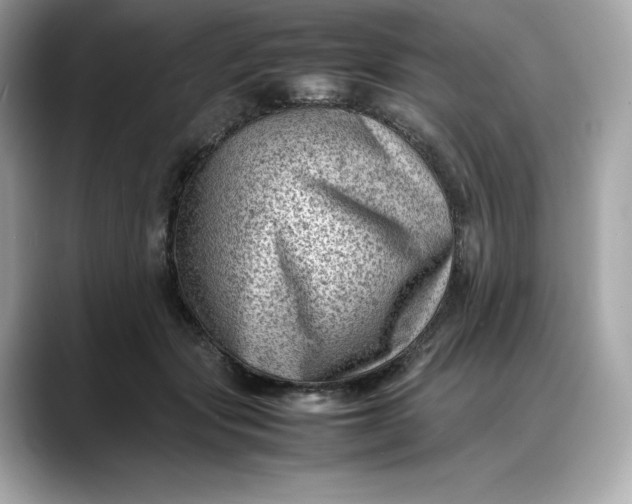 X0000088360557200706051025