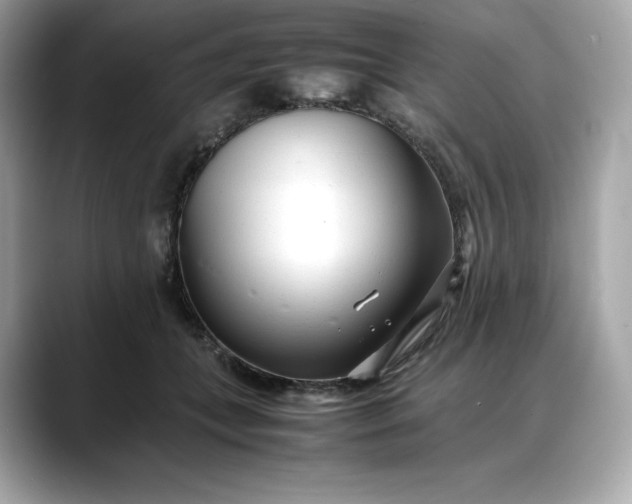 X0000088360559200706051025