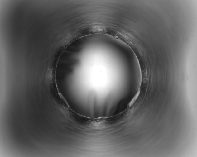 X0000088360560200706051025