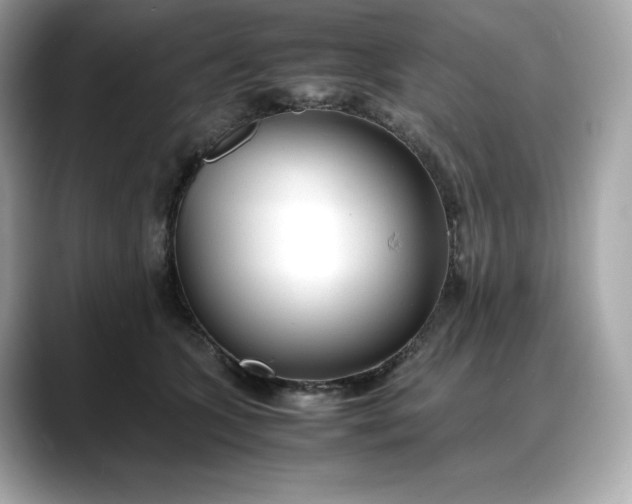 X0000088360563200706051025