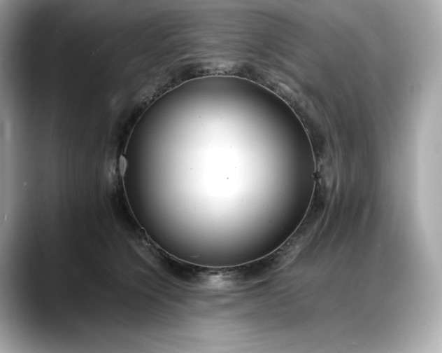 X0000088360564200706051025