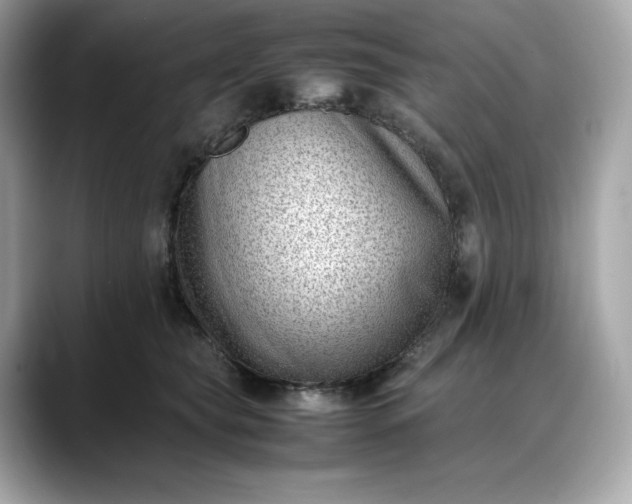 X0000088360565200706051025