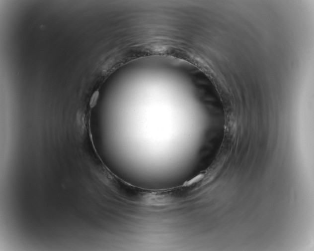 X0000088360568200706051025