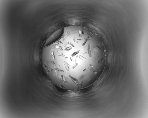 X0000088360569200706051025