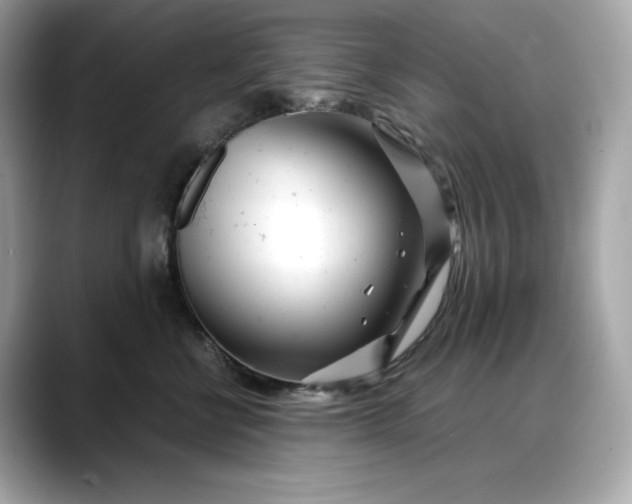 X0000088360570200706051025