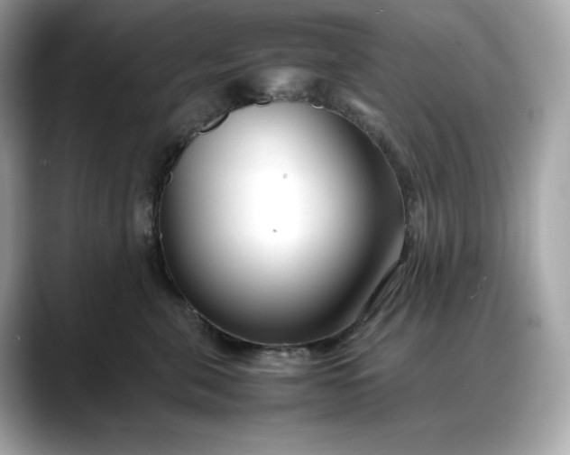 X0000088360571200706051025