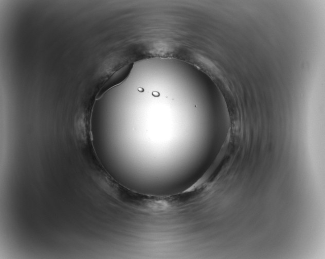 X0000088360572200706051025