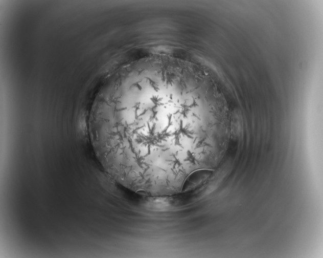 X0000088360573200706051025